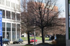 Allandale neighborhood